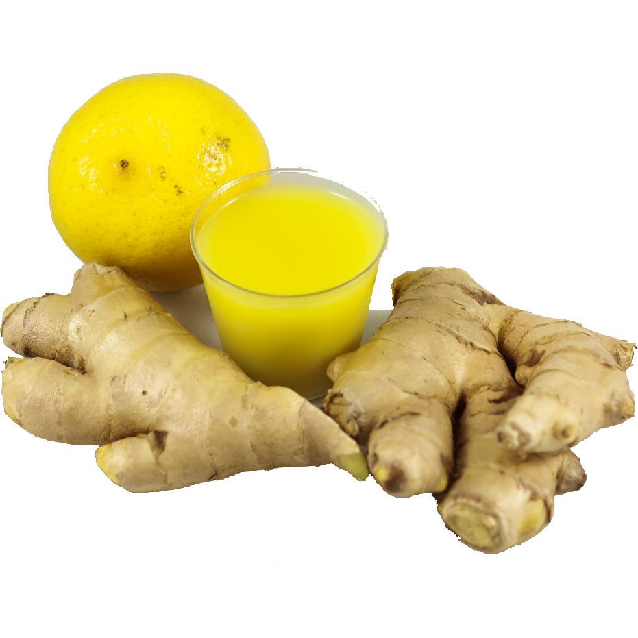 Turmeric-Ginger-Lemon Elixir